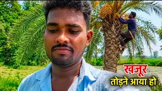 खजूर तोड़ने ने आया हूं 🙏 Vlogs video 