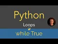 Python Loops - while true