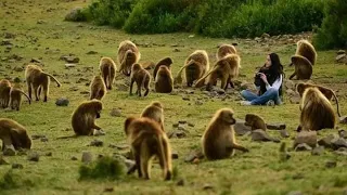 ደግሜ ደጋግሜ ያደመጥኩት ምርጥ ክላሲካል Best Classical Abelbirhanu Seifuonebs Donkey Tube ComedianEshetu  ደግሜ ደጋግሜ ያደመጥኩት ምርጥ ክላሲካል Best Classical Abelbirhanu Seifuonebs Donkey Tube ComedianEshetu