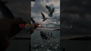 وإن ضاقت عليك الارض يوما حالات وستوريات واتس اب انستا مع الكلمات إلقاء القصيدة كاظم الساهر 