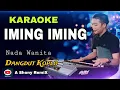 Download Lagu Karaoke Iming Iming Rita Sugiarto Nada Wanita