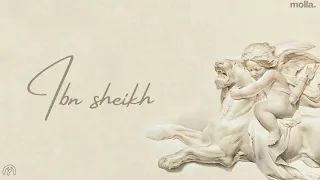                                             نافع   ابن شيخ دندنها