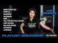 Download Lagu BREAKBEAT BABY DON’T GO | PLAYLIST BREAKBEAT 