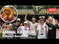 Download Lagu Walt Disney World Vlog ✨ l DAY 4 l ANIMAL KINGDOM 🐘 \u0026 DISNEY'S BOARDWALK l Cheers Ears Apr 25