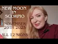 New Moon in Scorpio November 20th 2025 ALL 12 SIGNS