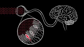 ทำไมแสงสีแดงและสีเขียวที่มาผสมกันจึงทำให้เราเห็นเป็นสีเหลือง ทั้งที่ไม่มีแสงสีเหลืองอยู่เลย?