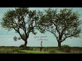 Clothesline - Dylan Gossett