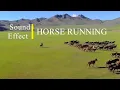 Download Lagu Suara Kuda Berlari | Sound Effect Horse Running \u0026 Neighing