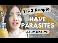Parasite Cleanse Smoothie that Works Tried Tested True