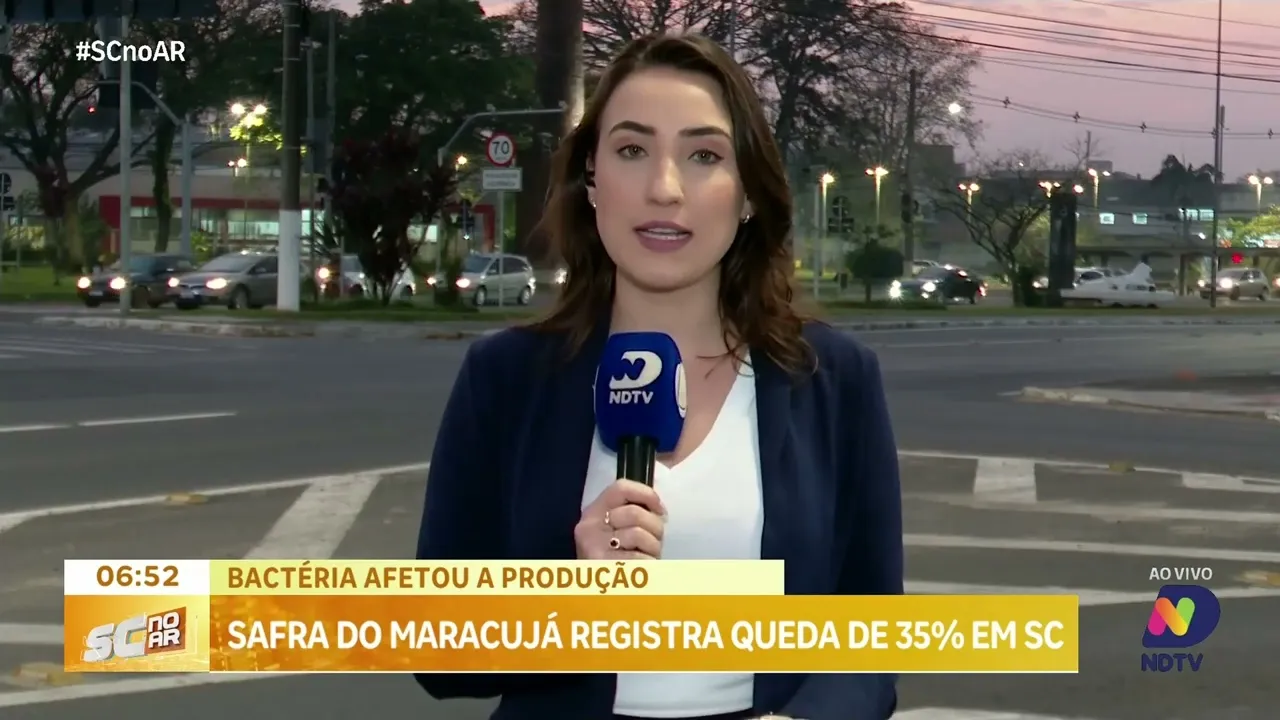 Bactéria afetou produção: safra do maracujá sofre queda de 35% em SC