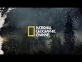Port Protection National Geographic