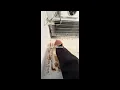 Kenmore Coldspot Refrigerator Water Leaking Inside The Fridge Repair