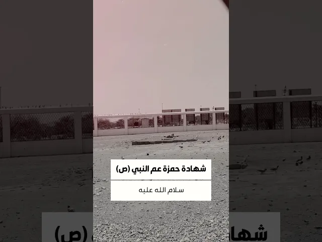 ⁣شهادة حمزة بن عبد المطلب (ع)