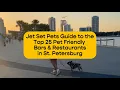 Top 25 Dog-Friendly Restaurants and Bars in St Petersburg FL