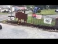 ATV Riders at Buffalo Trail Cottages Cabins and Campground