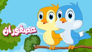 قناة طم طم أغنية عصفوران على حبل الغسيل 