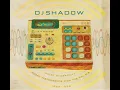 DJ Shadow - Affectations
