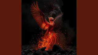 Коли знов засвітить небо 