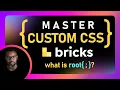 Custom CSS in Bricks Builder for an efficient workflow How to CSS Tutorial WordPress Tutorial