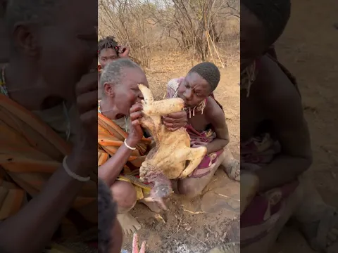 Hadzabe grand mother eating big meat
