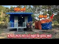 Lagu “BẬT KHÓC NỨC NỞ” bỗng dưng ƯỚC MƠ trở thành sự thật sau một đêm | Tập 593
