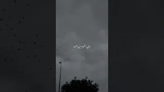 بيج سام   بحاول فيها   بنزل النجوم من السما واحطها تحت عيونك   دندنها