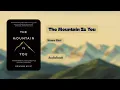 book The Mountain Is You Transforming Self-Sabotage Into Self-Mastery Brianna Wiest