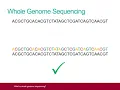 What is Whole Genome Sequencing