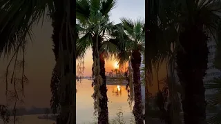 حين حل البلاء بدون موسيقي 