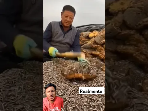 TÉCNICA ASOMBROSA #short