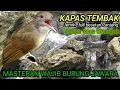 Download Lagu 1 JAM MASTERAN KAPAS TEMBAK | GURU VOKAL SANG JAWARA