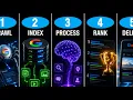 How Google Search Actually Works 2D Data