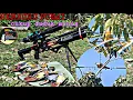 Download Lagu BERBURU BURUNG PUNAI DI SPOT POHON BERBUAH BANYAK PUNAI BERDATANGAN SRG slug 10gr