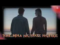 Download Lagu Ngisendleleni (Visual Lyrics)
