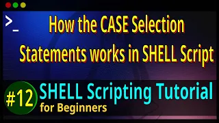 12 How the CASE-ESAC Statements work in BASH SHELL Script
