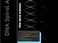 DNA Spiral Animation in HTML CSS JS