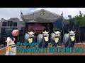 Download Lagu 🔴FULL 24 SUB - BANTENGAN PASOPATI BOLODEWO - GANGSIRAN - KOTA WISATA BATU