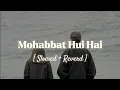 Lagu Mohabbat Hui hai | 💖🥀 [ Slowed + reverd ] love  Song🦋 | Lofi | lyrics |