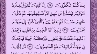 الأنفال ٣٤ ٤٠ 