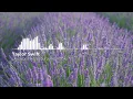 Lavender Haze (Guitar Version) - Taylor Swift | Lyric Video