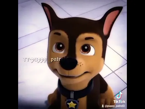 Paw Patrol