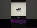How to make Cat Cat by Python turtle Graphics