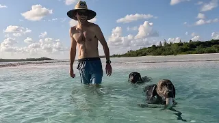 Braving Hurricane Ernesto’s Aftermath: Tough Decisions Ahead & Our Dog’s First Catch! – Ep. 251