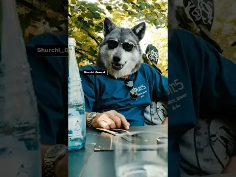 30 апреля 2026 г.