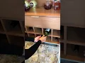 Vídeo do produto