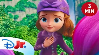 🎶 Pomocna piosenka | Jej Wysokość Zosia: Królewska Szkoła Magii [KLIP] | Disney Junior Polska