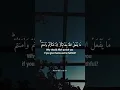 Download Lagu Surah Nisa Rashid Al Afasy #rashidalafasy #surahnisa #Annisa