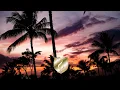 Shallou - Begin (feat. Wales)