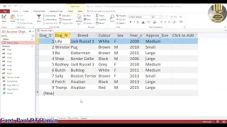 How to Update Records Using SQL in Microsoft Access