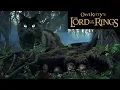 Download Lagu Lord of the Rings + My Cat
